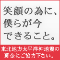 東北地方太平洋沖地 震義援金